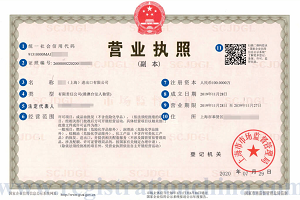 What Can Your New Company Do in China
